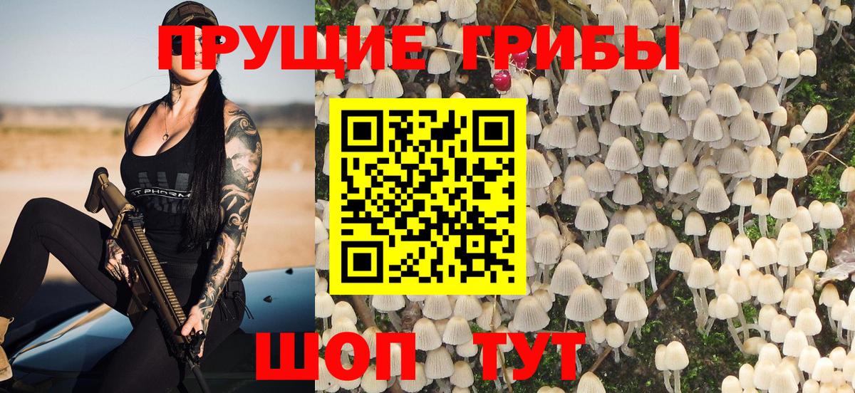 Галлюциногенные грибы прущие грибы  Вход с VPN  Павловский Посад  Галлюциногенные грибы мухоморы 